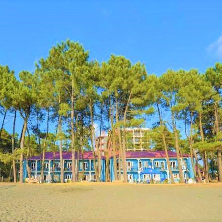 Evrika Hotel Shekvetili Exterior photo
