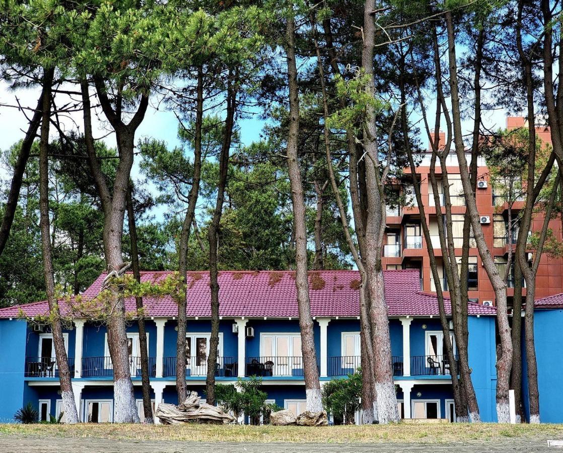 Evrika Hotel Shekvetili Exterior photo